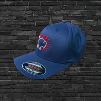 AFG-Be The Buffalo - FlexFit Curve Brim